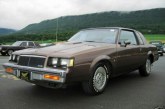 1984 Buick Regal Limited Two Tone Brown / Light Brown