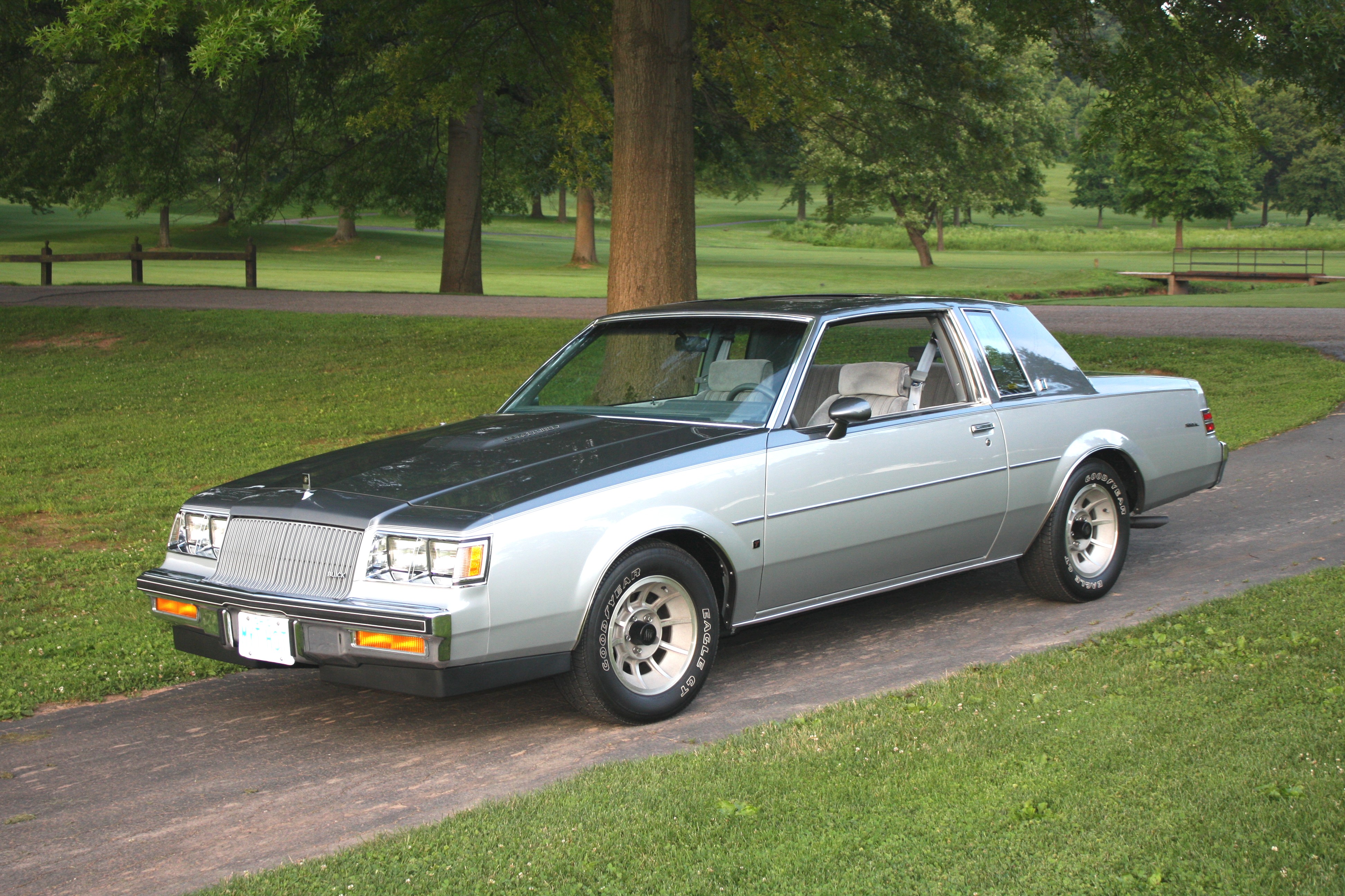 two tone buick regal