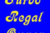 You Know You Drive A Turbo Regal When…
