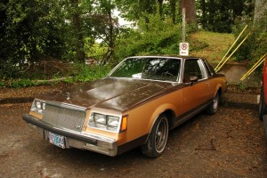 1981 Buick Regal Limited Edition Somerset