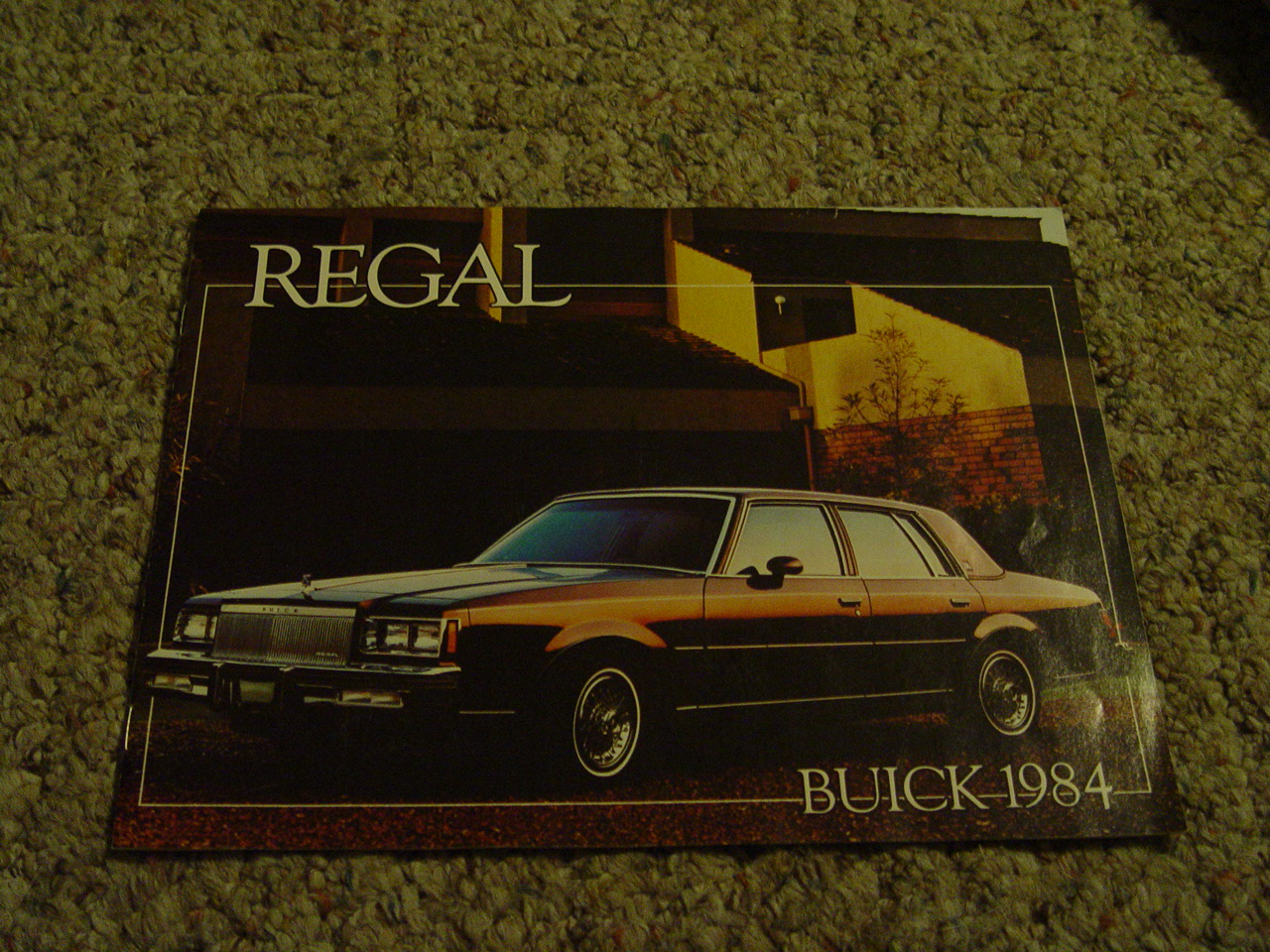 1984 Buick Buyers Guide