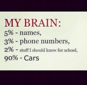 car brain