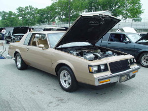 chestnut turbo t