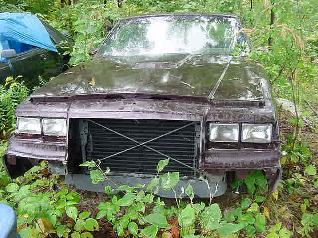 Abandoned & Forgotten Turbo Buicks
