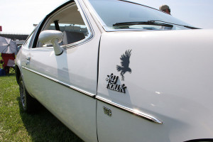 buick skyhawk hawk decal 2