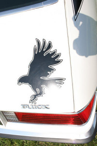 skyhawk hawk decal