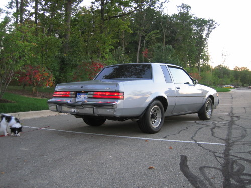 1987 buick regal turbo t