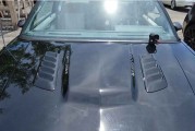 Buick Regal Hood Louvers