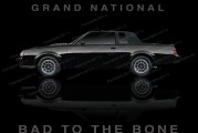 Buick GN & T Posters