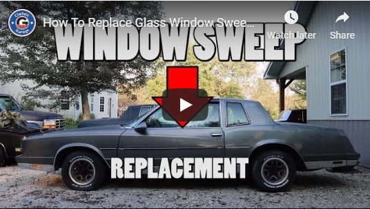 Door Glass Window Sweeps Replacement (video)