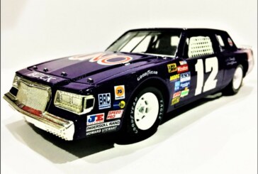 Custom Made 1981 Buick Regal Winston Cup Series 1:24 Diecast Cars