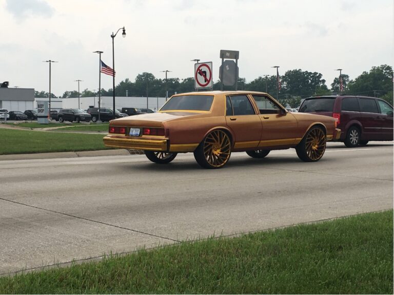 telegraph cruise 2023