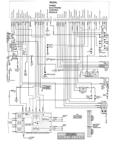 ECM Computer Pinout Wiring Diagram – Buick Turbo Regal