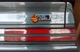 Custom Made Metal & Painted Buick GN & TR Emblems