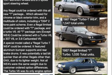 1987 Buick Regal Turbo T (Limited WE4 D84) History Production Differences Pics