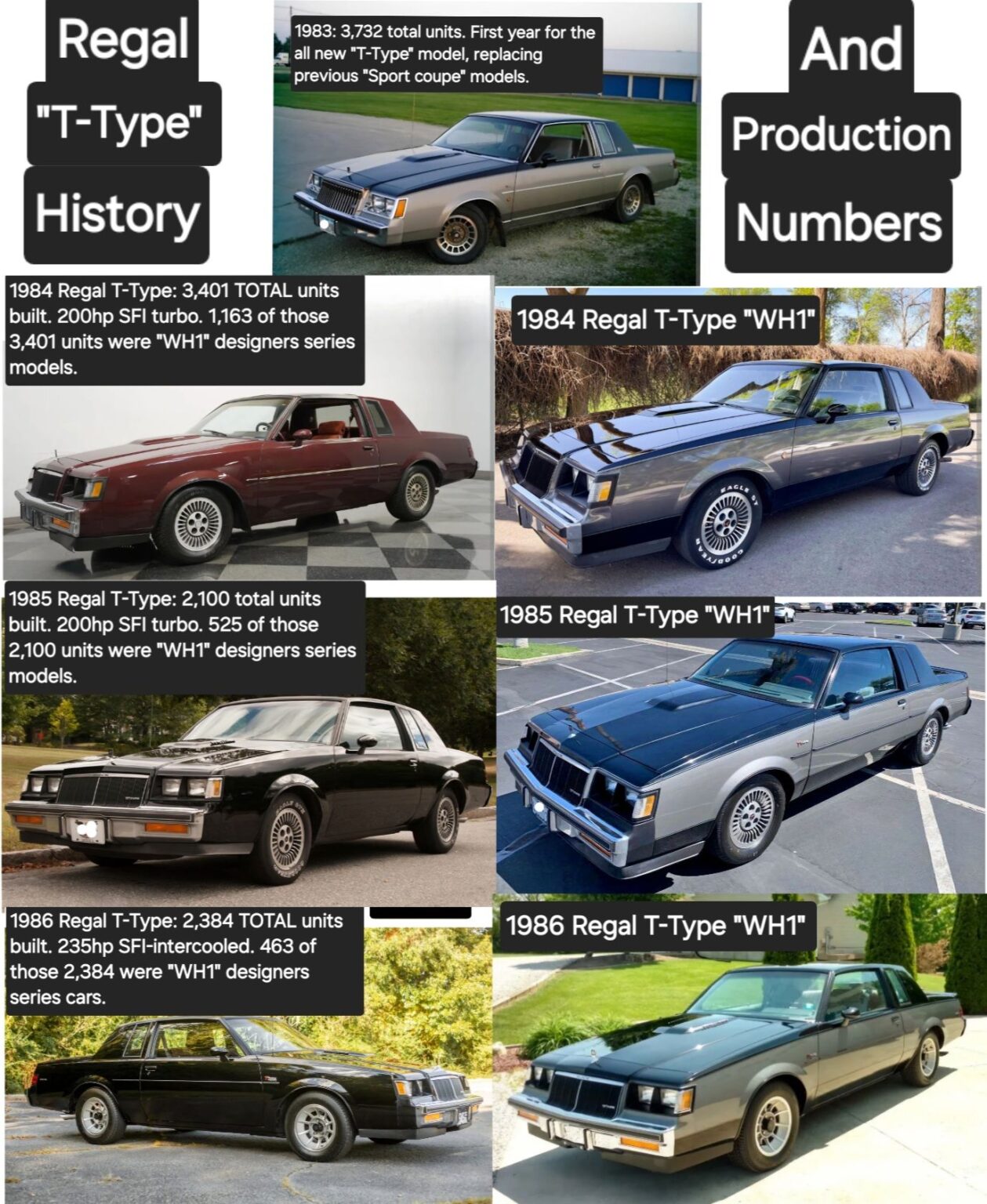 1983 1984 1985 1986 Buick Regal T-Type (& WH1) History Production ...