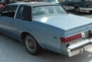 More Than Just a Box: Navigating the Diverse Landscape of the 1982 Buick Regal: Sport Coupe Sedan Estate Wagon Limited Grand National: : Differences, Specs & Options